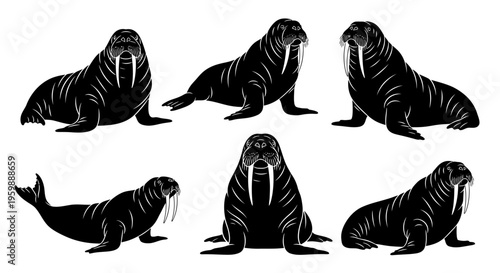Set of Six Black Walrus Silhouettes on White Background