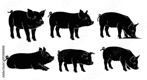 Set of six black pig silhouettes in various poses on a white background