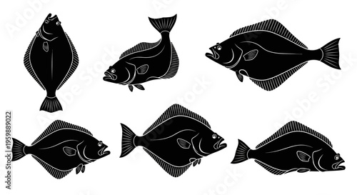 Set of Six Black Silhouette Illustrations of Halibut Fish, Isolated on White Background