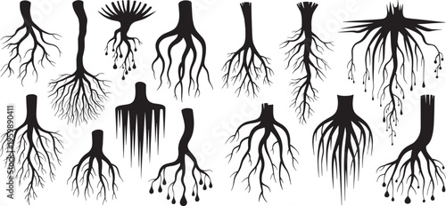 Tree roots silhouettes set. Nature root silhouettes, stammer different plants., vector illustration