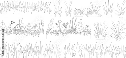 set of shrubs line cad, Ground cover. Illustration for elevation architectural element, side view, grass section. vector illustration