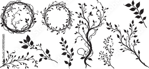 vine plant jungle climbing set isolated on transparent background vector illustration