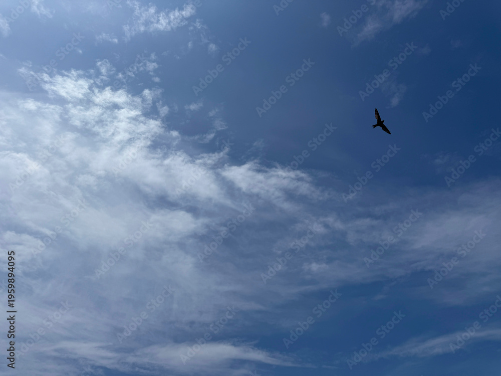 Obraz premium Blue sky with beautiful clouds.