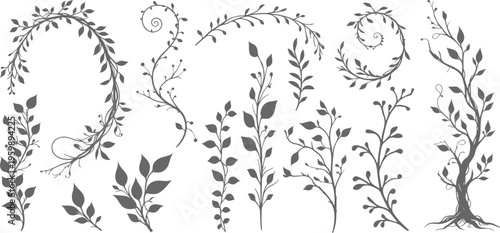 Jungle liana with leaves silhouette set, diffrent type of jungle lena vector illustration
