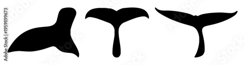 Whale tail fluke silhouette set with large water spray backdrop featuring marine, whale, silhouette with blue background and waves