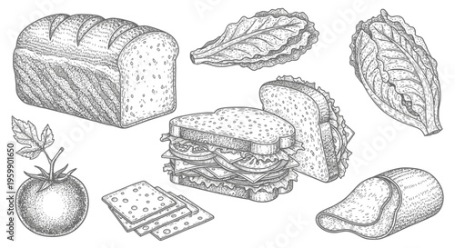 Delicious Hand-Drawn Sandwich Ingredients and Assembled Sandwiches.