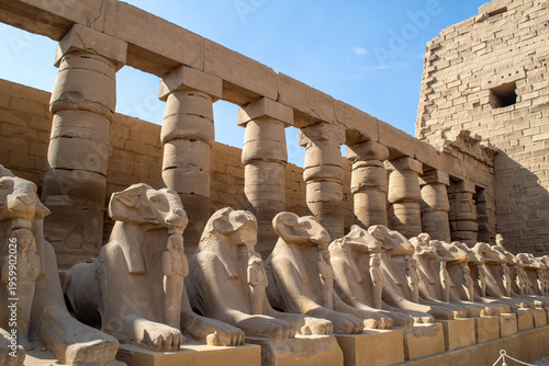 Egypt, Luxor, 02.01.2022  Karnak temple, alley of the ram-headed sphinxes.