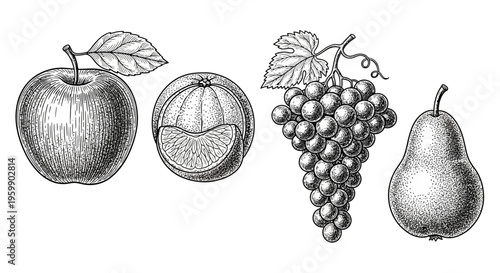 Vintage Engraving Style Fruit Collection Apple Orange Grapes Pear.