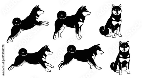 Shiba Inu Dog Poses Collection: Running, Sitting, Standing - Black and White Vector Art