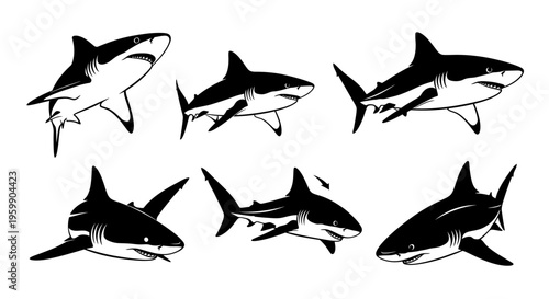 Set of Six Shark Illustrations in Black and White, Dynamic Poses