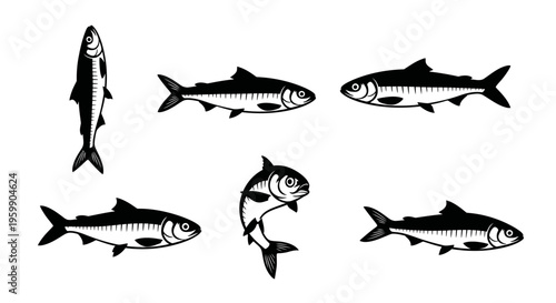 Set of stylized fish illustrations in black and white, showing different poses and movements.