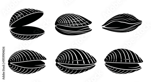 Set of stylized clam shells, open and closed, black and white illustration