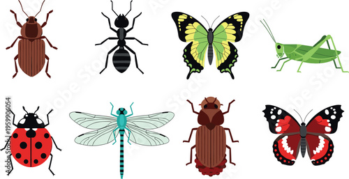 Set of colorful insect icons including beetle ant butterfly grasshopper ladybug dragonfly and bugs flat vector illustration collection isolated design