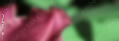 Closeup Of A Purple Petal With Rich Texture And Delicate Edges In Soft Green ...