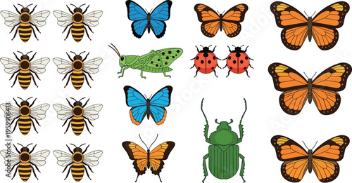 butterfly grasshopper ladybug dragonfly and bugs fSet 