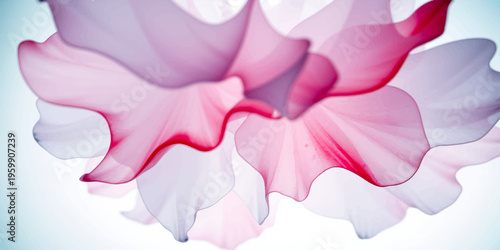 Pink Rose Petals Soft Floral Closeup Background