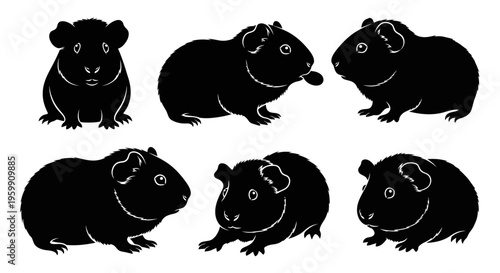 Set of Six Black Silhouette Guinea Pigs Poses Isolated on White Background