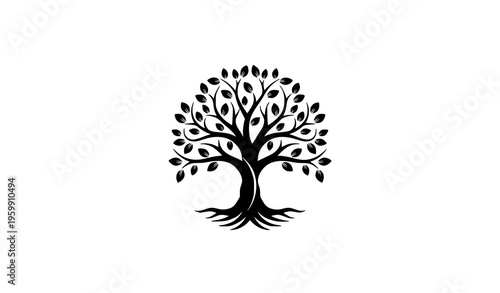 Tree of life circular silhouette logo vector elegant organic spiritual symbol design