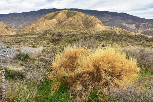 biggest european travel destination,Desert Tabernas in south of Spain