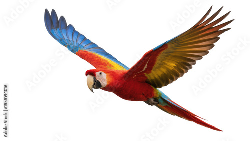 Foto Magnificent tropical parrot flying, a splendid display of nature's vibrant color