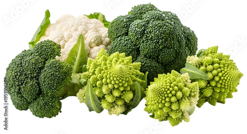Broccoli cauliflower and romanesco on black background