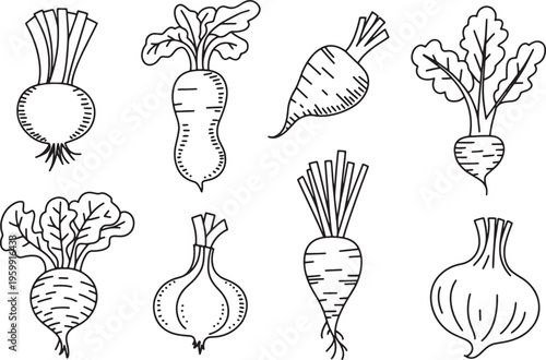 Set of root vegetables, fresh beets and onions outline icons, natural and healthy food concept. Vector illustration