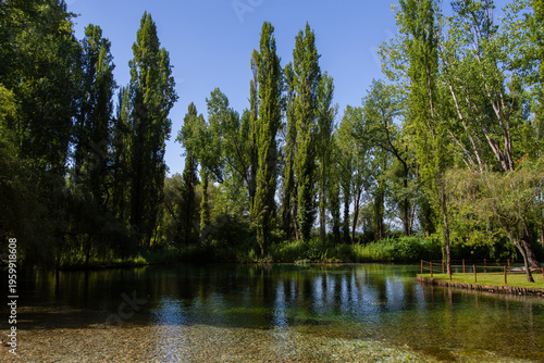 Natural scene from the Clitunno Springs in Umbria, featuring clear shallow water, tall trees, and a wooden fence along the bank.