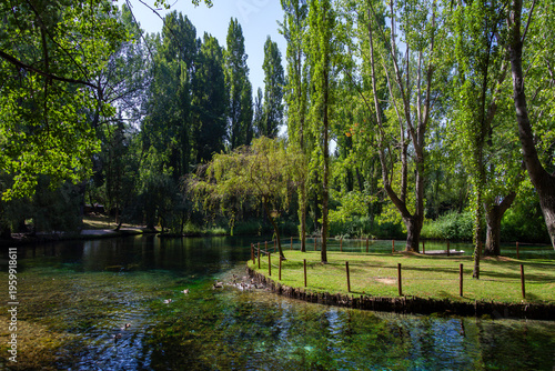 Natural scene from the Clitunno Springs in Umbria, featuring shallow clear water, ducks, and a wooden fence along the grassy bank.