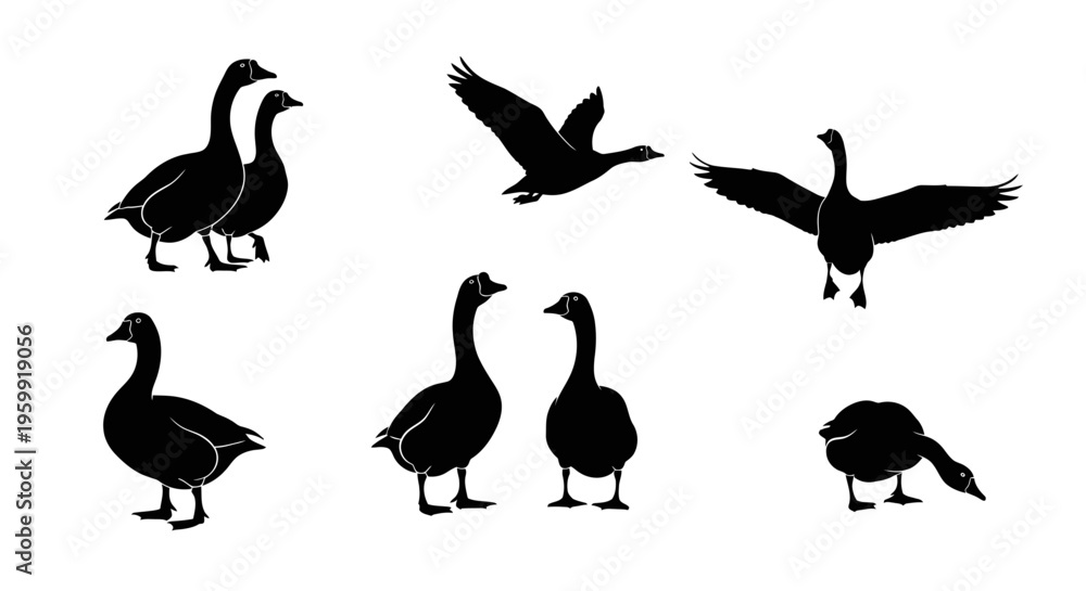 Fototapeta premium Silhouette Goose Collection: Flying, Standing, and Paired Geese in Various Poses