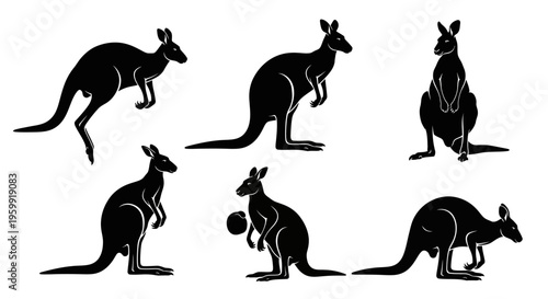 Silhouette Kangaroo Collection: Diverse Poses of Australian Marsupial Wildlife