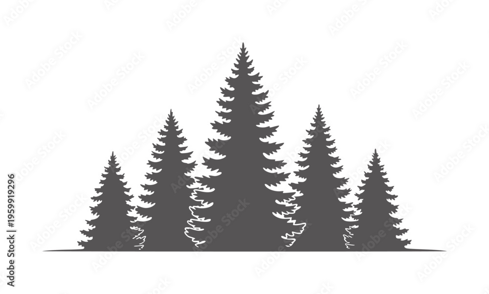Fototapeta premium Dark grey silhouette of a forest of pine trees white