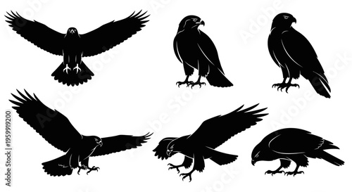 Silhouette Collection of Majestic Eagles in Various Poses: Flying, Perched, and Hunting