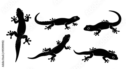 Silhouette Gecko Collection: Multiple Poses of Small Reptiles on White Background