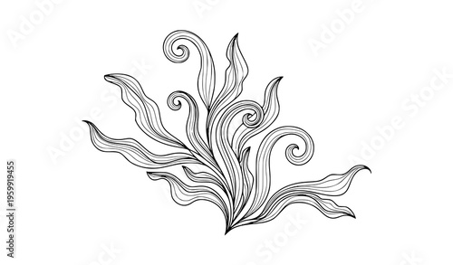 Stylized abstract seaweed vector line art illustration with swirling stems on white background