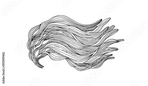Minimal abstract seaweed botanical vector illustration with detailed line art on white background