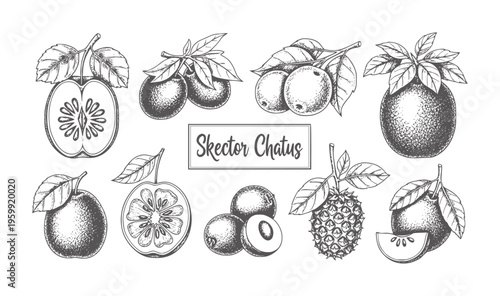 Vintage of various fruits and slices white apple orange pineapple