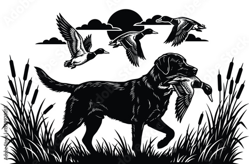 Black hunting dog silhouette retrieving duck in marshland with flying waterfowl and sunset background for hunting theme
