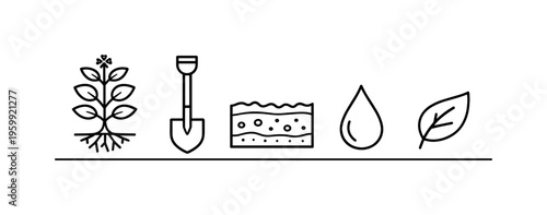 Green manure cover cropping and soil fertility improvement for sustainable nutrient cycling and erosion control in agricultural systems, cover crop plant, shovel, soil layer