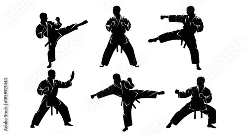 Martial Arts Silhouette: Karateka Performing Kicks and Punches