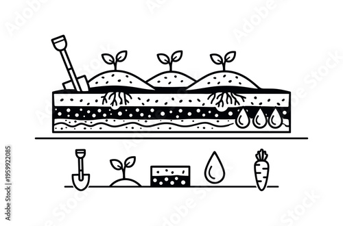 Raised bed cultivation and soil structure optimization for improved drainage and root development in intensive vegetable production systems, raised bed rows, shovel, plant sprout