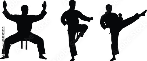 Silhouette of karate man fighter in kimono doing martial arts kick and kata poses for sports fitness and self defense.