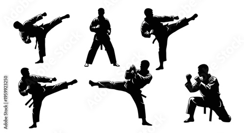 Karate Silhouette Set: Dynamic Kicks and Martial Arts Poses