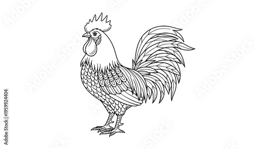 Detailed Rooster Coloring Page Printable Farm Animal Line Art Vector Illustration for Kids and Students