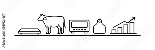 Livestock weighing and growth tracking for accurate herd management and performance optimization in agricultural operations, livestock scale platform, cow silhouette, digital