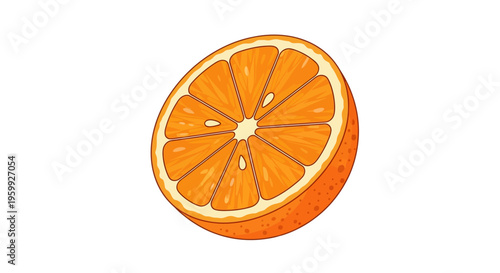 Vibrant Half Orange Slice Illustration with Detailed Segments.