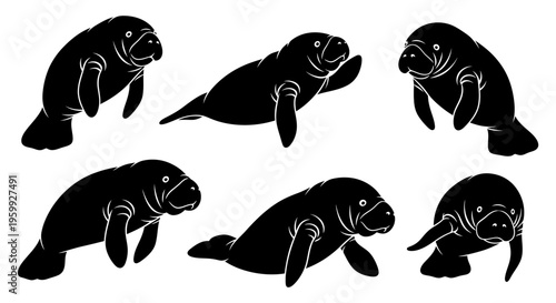 Set of Six Black Silhouette Manatee Illustrations on White Background