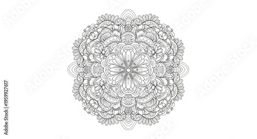 Black and white circular pattern.