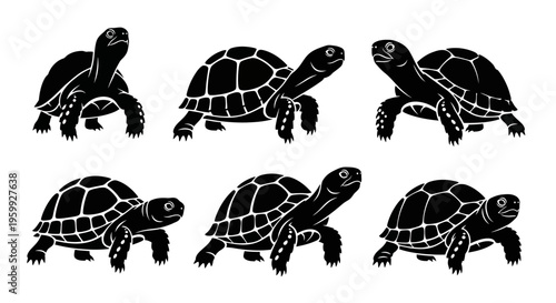 Set of six black silhouette tortoises walking in different poses on a white background