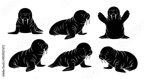 Set of Six Black Silhouette Walrus Poses on White Background