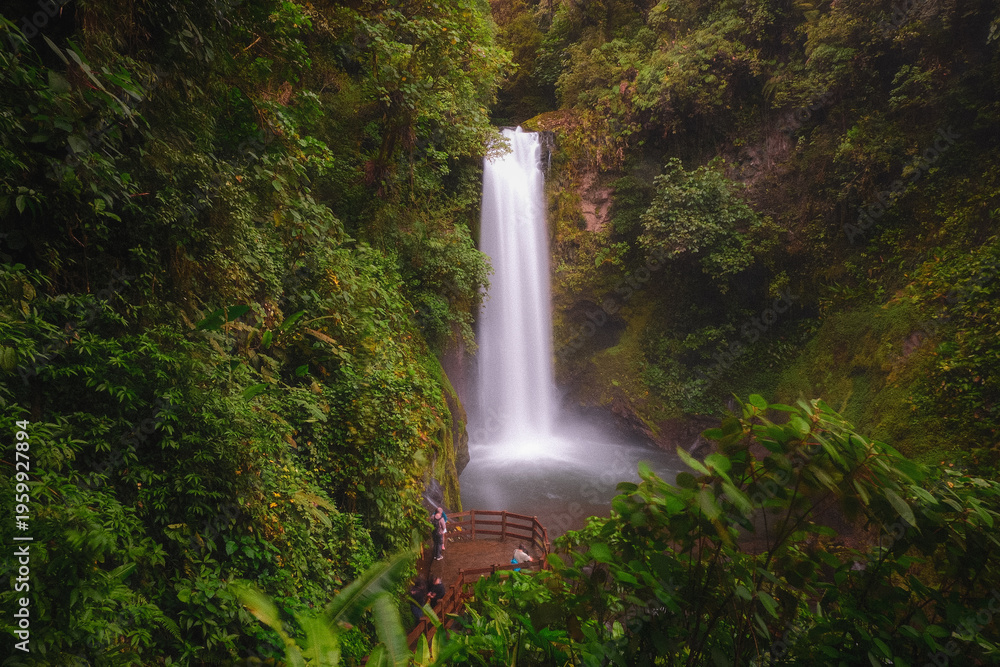 Obraz premium waterfall in the forest Costa rica